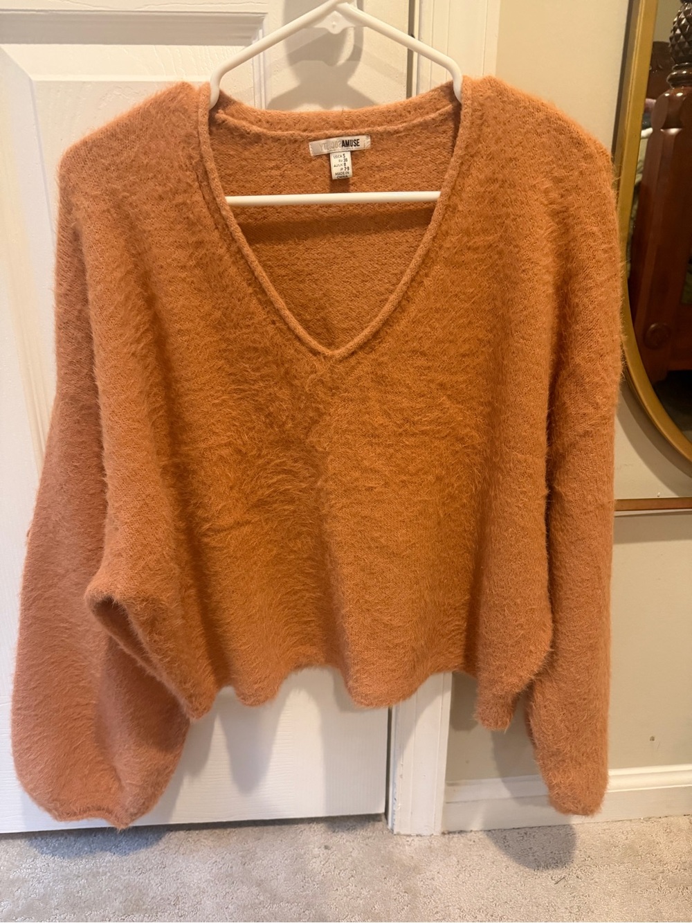 Amuse Society Women's Fuzzy V-Neck Sweater in Rust